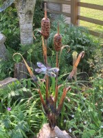 q. Twin Bullrush with Dragonfly.jpg